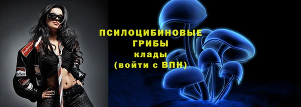 наркотики Бородино