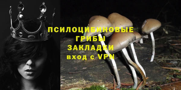 наркотики Бородино