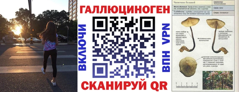 Купить  Верхняя Тура  Псилоцибиновые грибы мицелий 